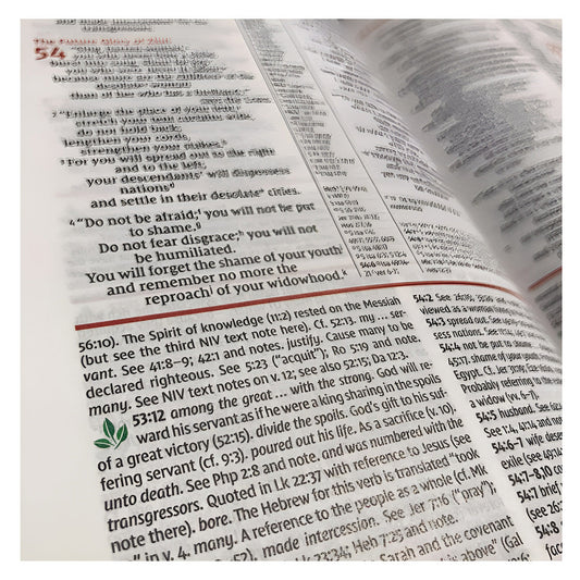 NIV Study Bible, Fully Revised Edition, Large Print, Red Letter (Comfort Print)(Hardcover)