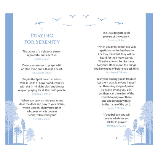 The Serenity Prayer Promise Book (Paperback)