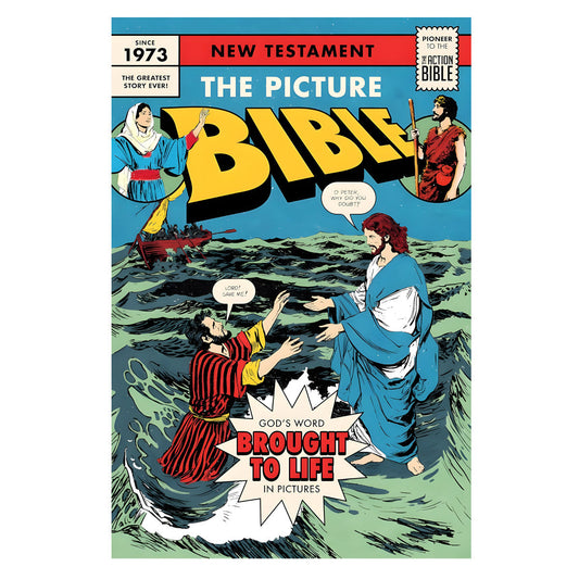 The Picture Bible New Testament (Paperback)