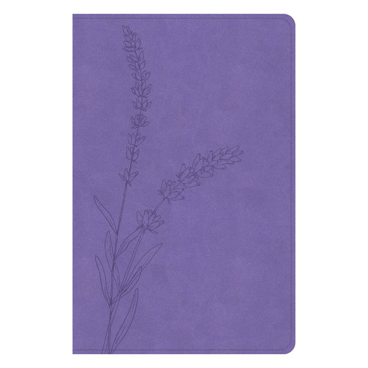 KJV Lavender Imitation Leather Personal Size Bible Giant Print Indexed