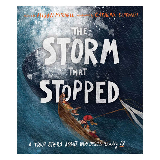 The Storm That Stopped - Tales That Tell the Truth Book 10 (Hardcover)