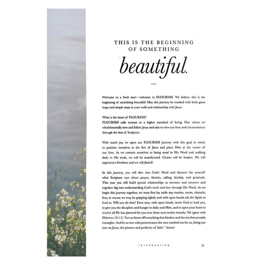 Flourish: A Mentoring Journey - Year One (Spiral-Bound)