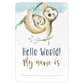 My Baby Boy's Milestones (Boxed Cards)