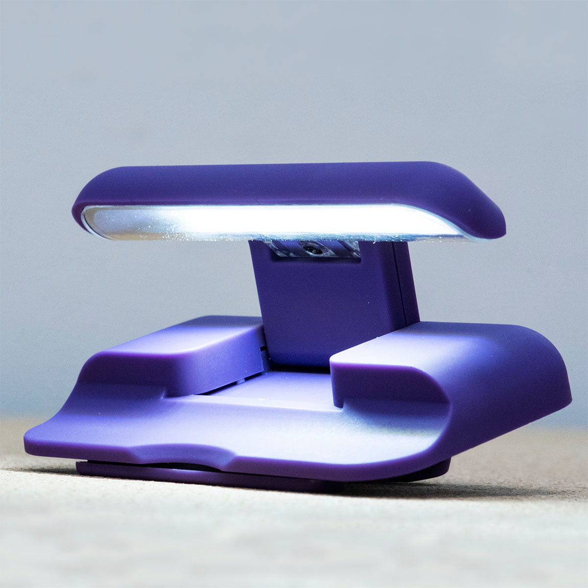 I Read Past My Bedtime Purple Book Light