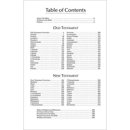 NIV Economy Bible (Paperback)