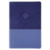 Amplified Study Bible Purple (Imitation Leather)