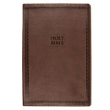 NIV Brown Faux Leather Value Thinline Bible Large Print (Comfort Print)