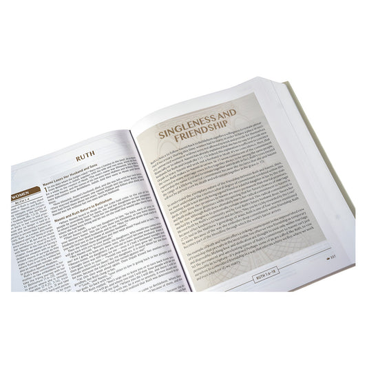 NIV Grey Hardcover Upside-Down Kingdom Bible Comfort Print