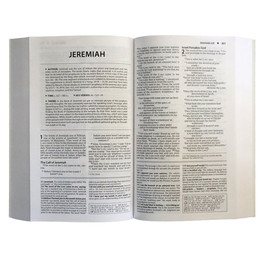 NIV Basic Study Bible, Economy, Blue, Red Letter (Paperback)