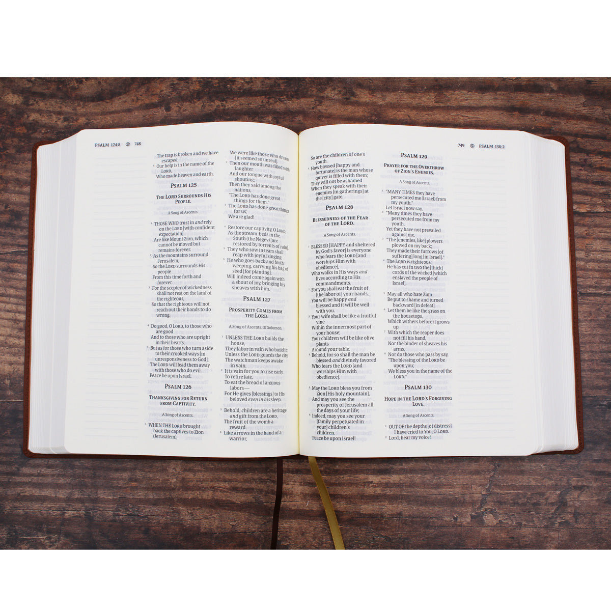 Amplified Brown Imitation Leather Journal the Word Bible