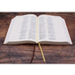 Amplified Brown Imitation Leather Journal the Word Bible