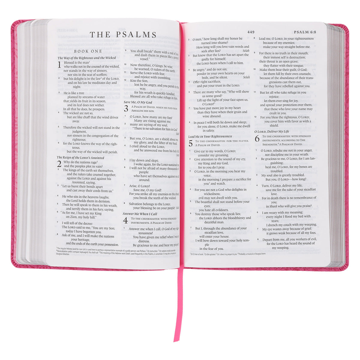 ESV Pink Vines Faux Leather Standard Bible