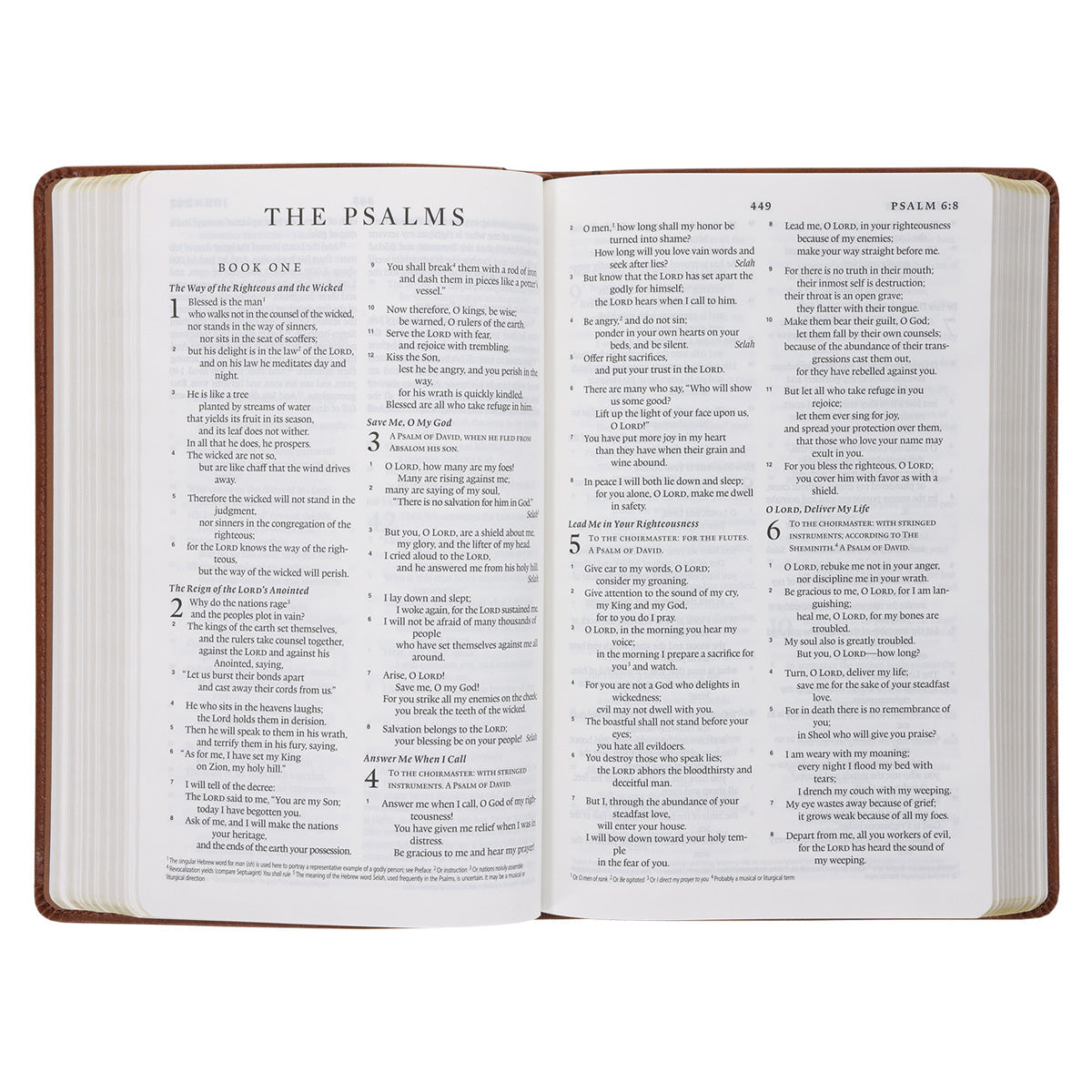 ESV Tan Brown Faux Leather Standard Bible