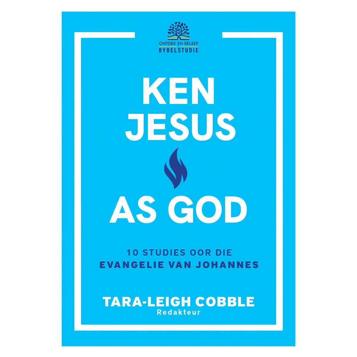Ken Jesus As God Bybelstudie (Sagteband)