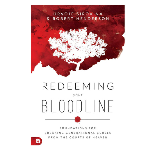 Redeeming Your Bloodline: Foundations / Breaking / Curses / Courts / Heaven (Paperback)
