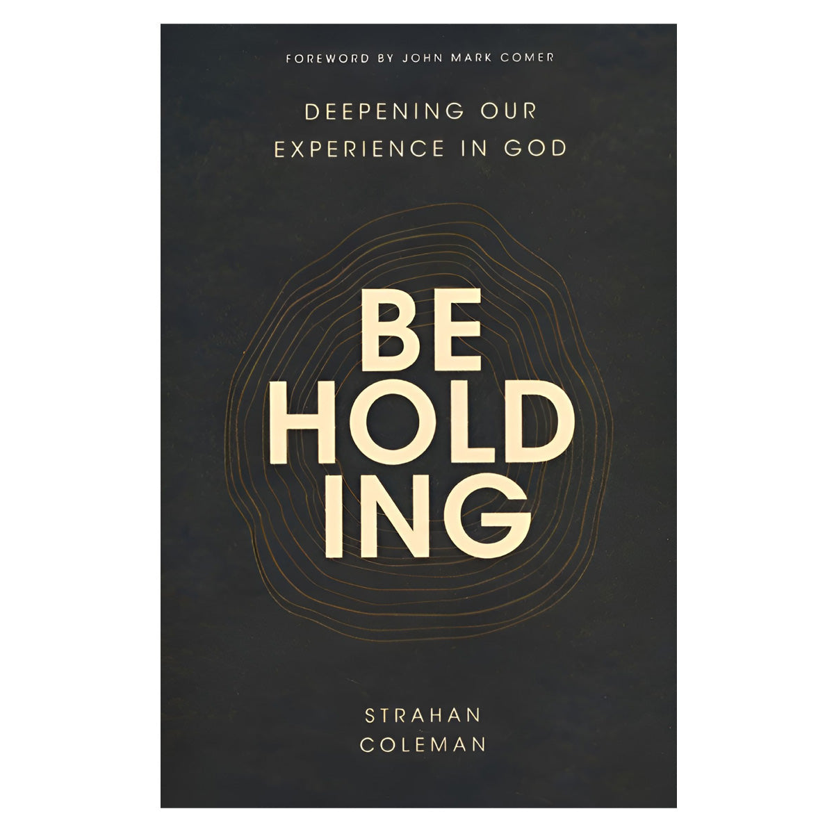 Beholding: Deepening Our Experience in God (Paperback)