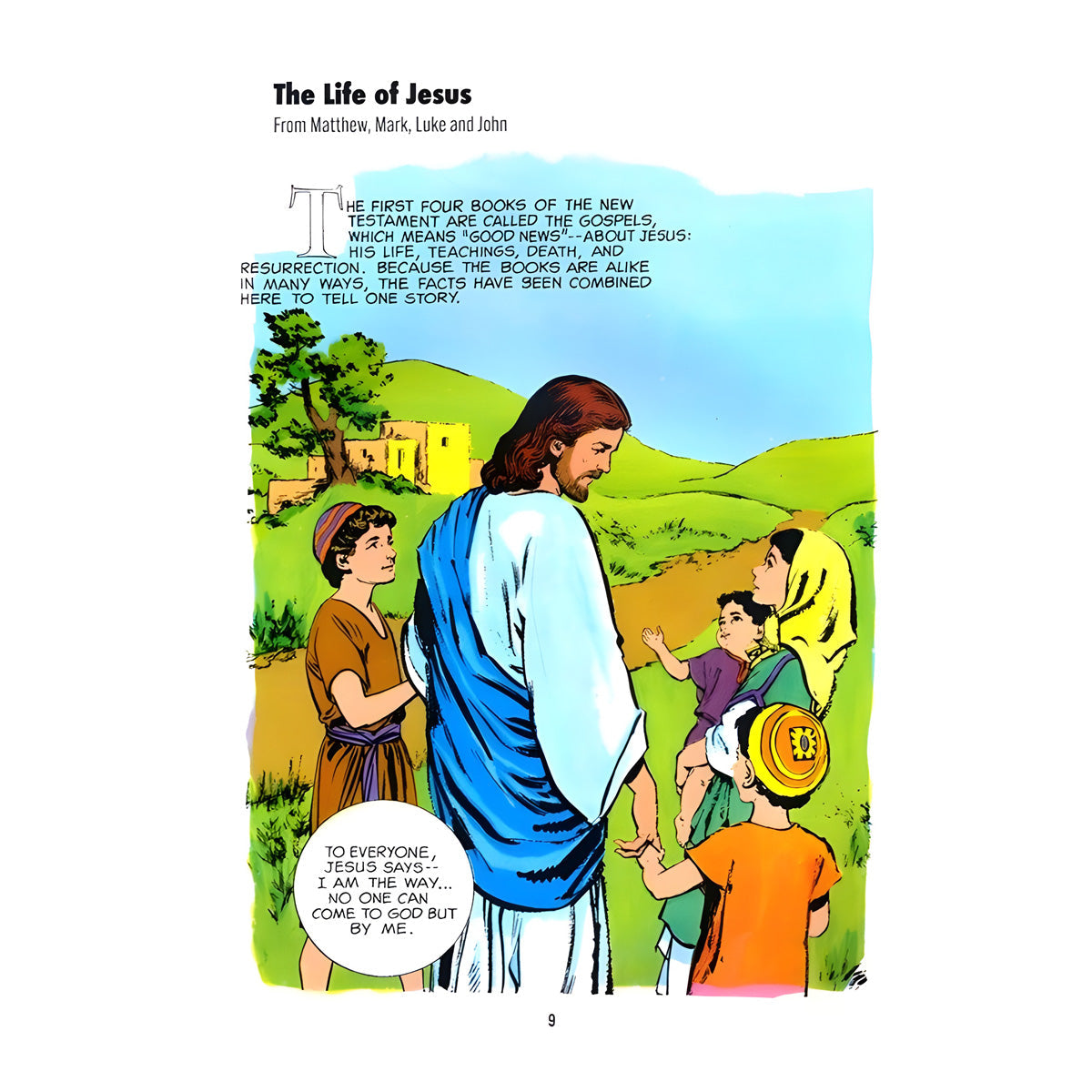 The Picture Bible New Testament (Paperback)