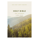 NKJV Scenic Paperback Outreach New Testament Bible Large Comfort Print