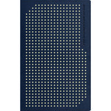 NLT Boys Life Application Study Bible, TuTone, Blue / Neon / Glow (Imitation Leather)