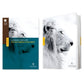 NLT Courage For Life Filament Enabled Study Bible For Men (Hardcover)
