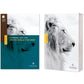 NLT Courage For Life Filament Enabled Study Bible For Men (Paperback)