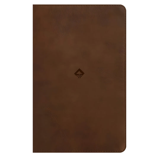 NLT Rustic Brown Imitation Leather Filament Student Life Application Bible Red Letter