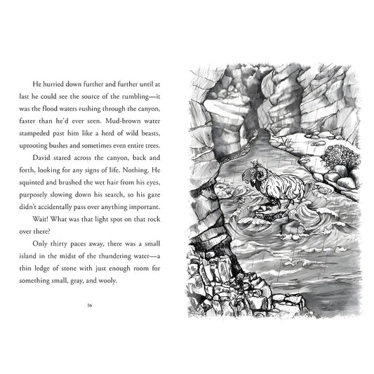 Shepherd - 2 Young David (Paperback)