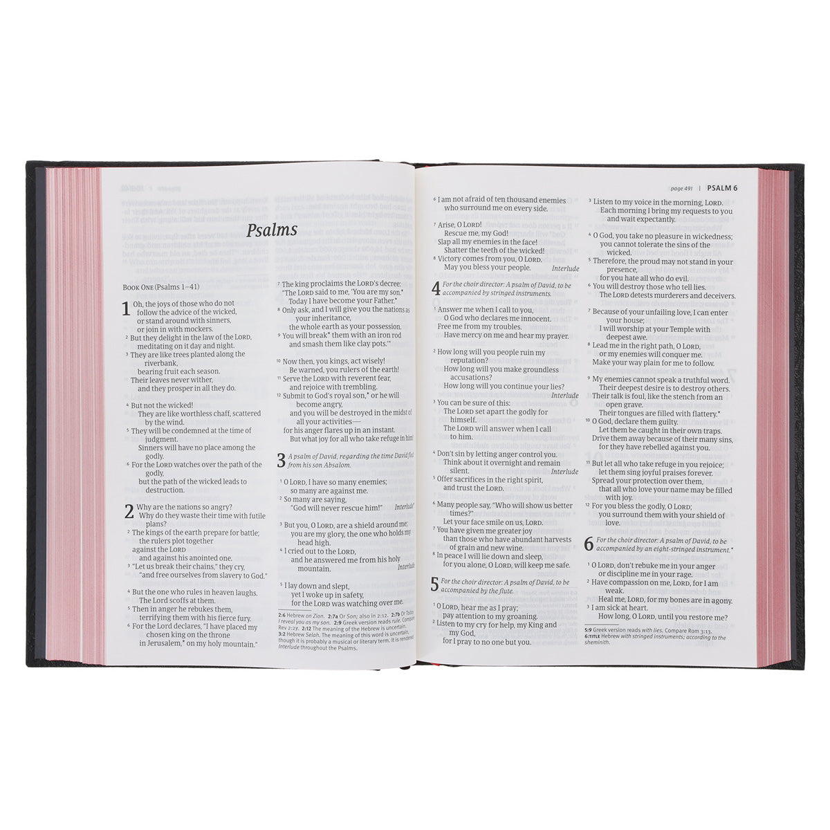 NLT Black Hardcover Bible Large Print