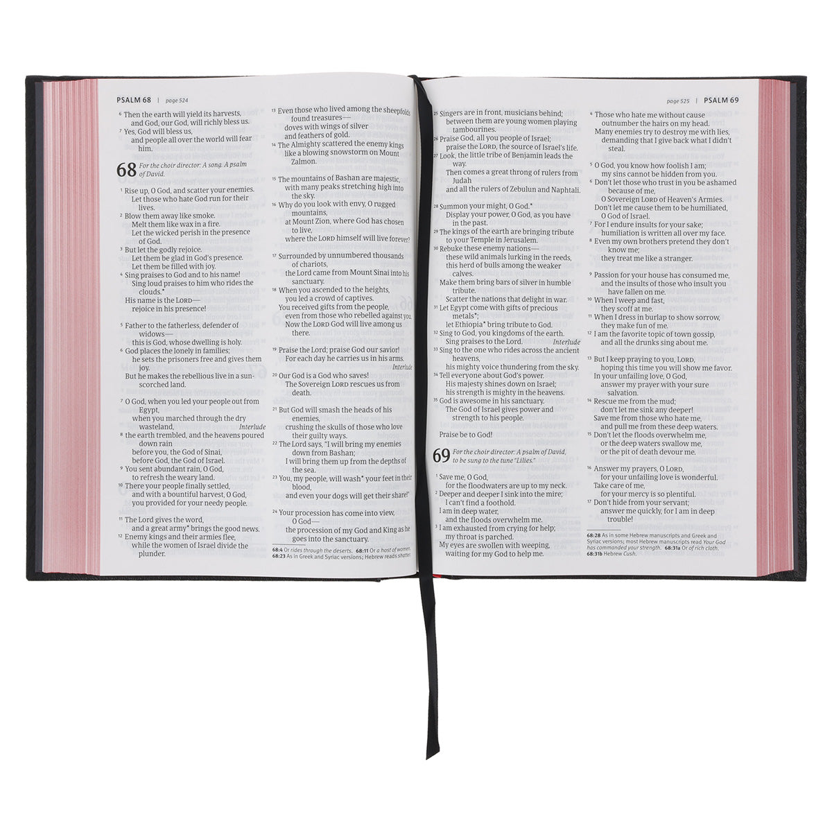 NLT Black Hardcover Bible Large Print