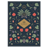 CSB Hardcover Women's Study Bible