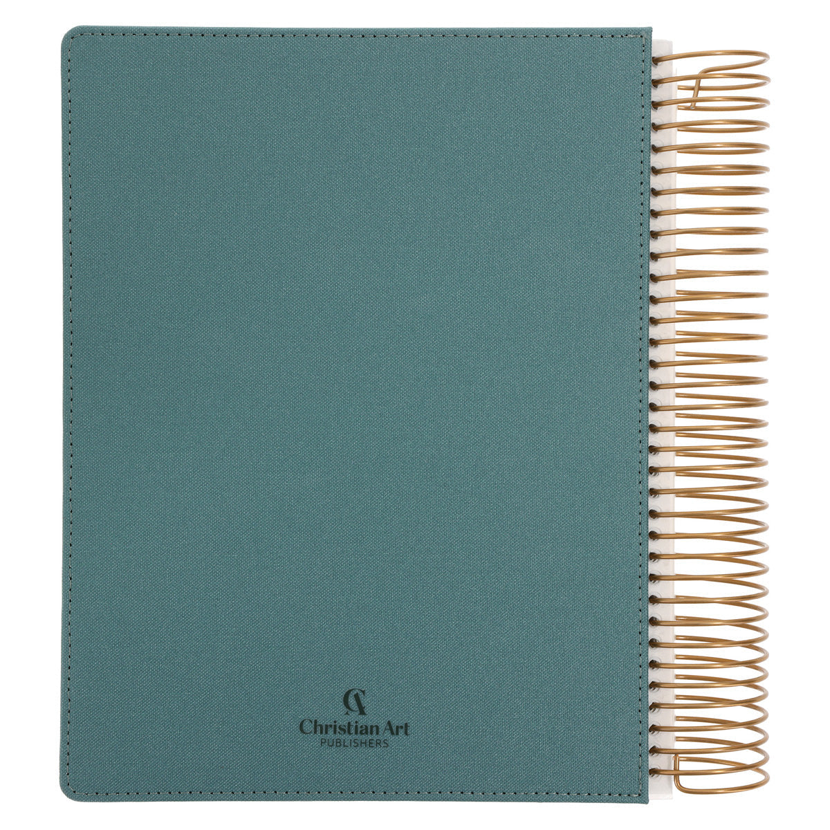 KJV Teal Spiral-Bound Hardcover Linen Cloth My Creative Bible Illustrators Edition