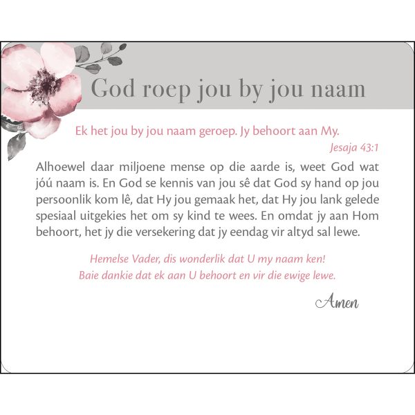Vreugde In Sy Teenwoordigheid Afrikaans Cards In Tin - Image 5