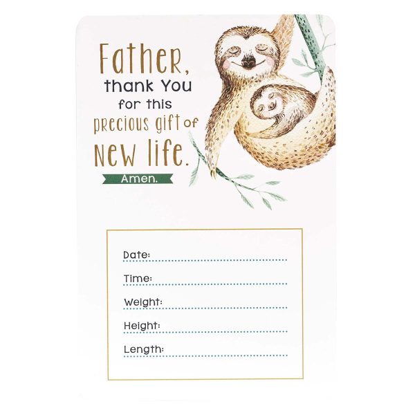 My Baby Boy's Milestones (Boxed Cards) - Image 4