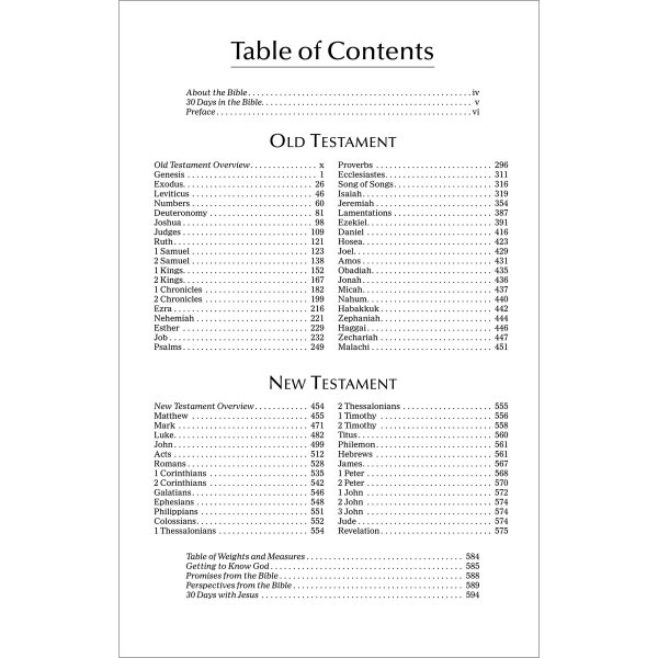 NIV Economy Bible (Paperback) - Image 3
