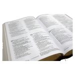NIV, NKJV, NLT, The Message Contemporary Comparative Parallel Bible (Hardcover) - Image 3