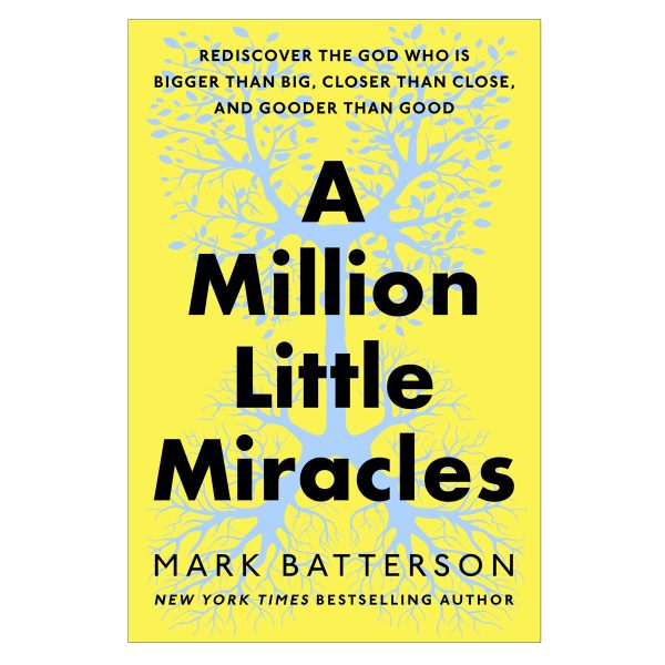 A Million Little Miracles: Rediscover the God Who Is Bigger than Big HC - Image 1