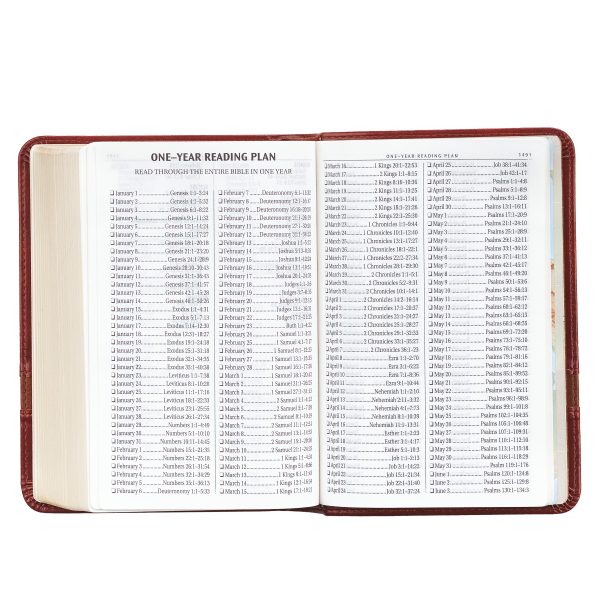 KJV Brown Faux Leather Compact Bible Large Print Red Letter - Image 6
