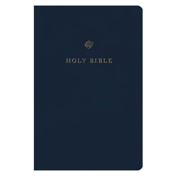 ESV Blue Imitation Leather Gift and Award Bible - Image 1