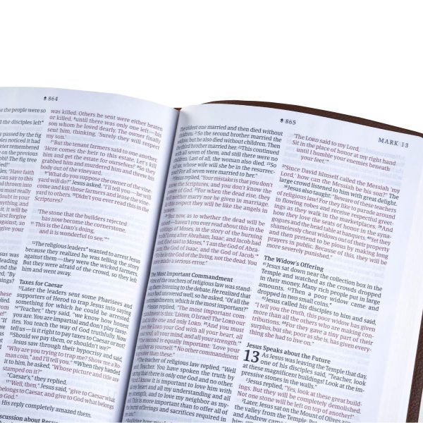 NLT Filament Thinline Reference Bible Red Letter Rustic Brown (Imitation Leather) - Image 4