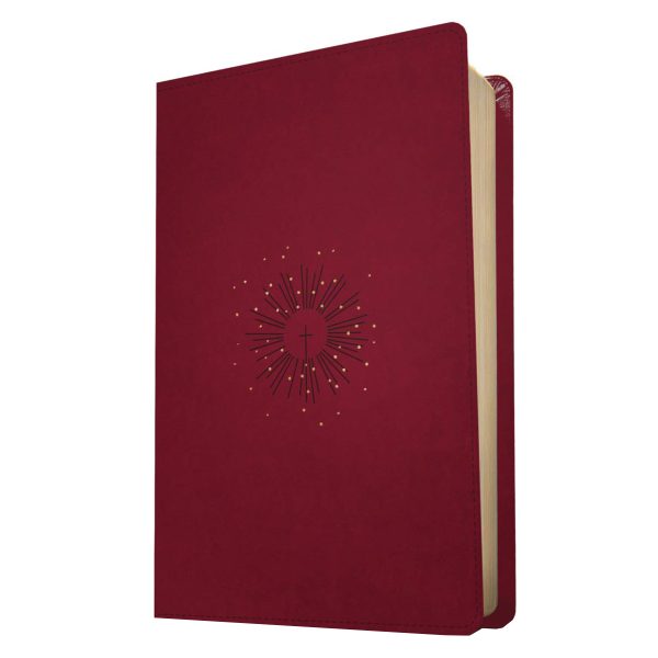 NLT Filament Thinline Reference Bible Red Letter Aurora Cranberry (Imitation Leather) - Image 3