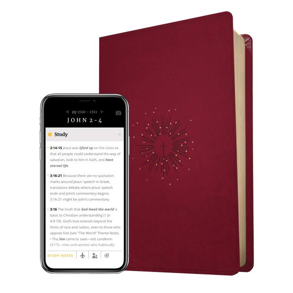 NLT Filament Thinline Reference Bible Red Letter Aurora Cranberry (Imitation Leather) - Image 4