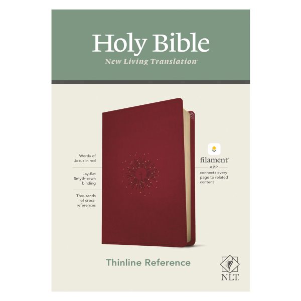 NLT Filament Thinline Reference Bible Red Letter Aurora Cranberry (Imitation Leather) - Image 5
