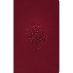 NLT Filament Thinline Reference Bible Red Letter Aurora Cranberry (Imitation Leather)