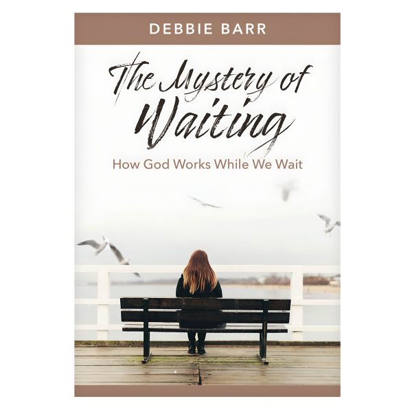 The Mystery of Waiting: How God Works While We Wait - Hope and Healing (Paperback) - Image 1