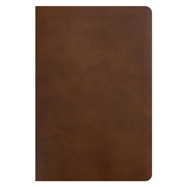 NLT Rustic Brown Imitation Leather One Year Chronological Study Bible - Image 2