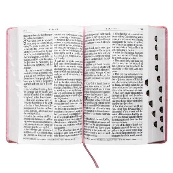 KJV Pink Faux Leather Bible Giant Print - Image 6