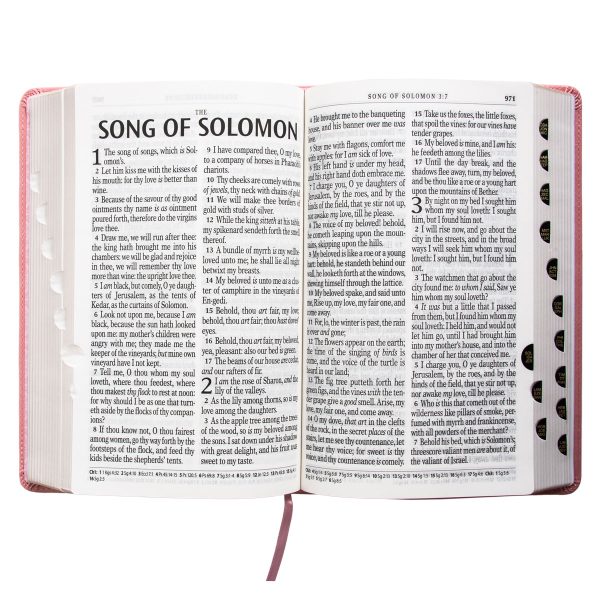 KJV Pink Faux Leather Bible Giant Print - Image 7