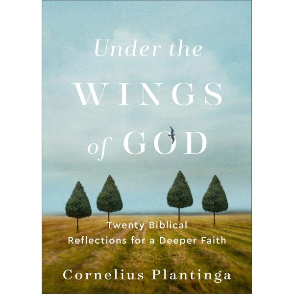 Under The Wings Of God: Twenty Biblical Reflections For A Deeper Faith (Paperback) - Image 1