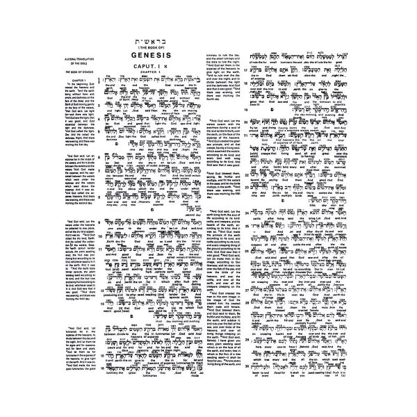 Interlinear Bible Hebrew-Greek-English (Hardcover) - Image 8