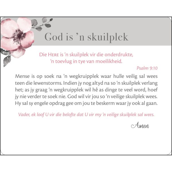 Vreugde In Sy Teenwoordigheid Afrikaans Cards In Tin - Image 8